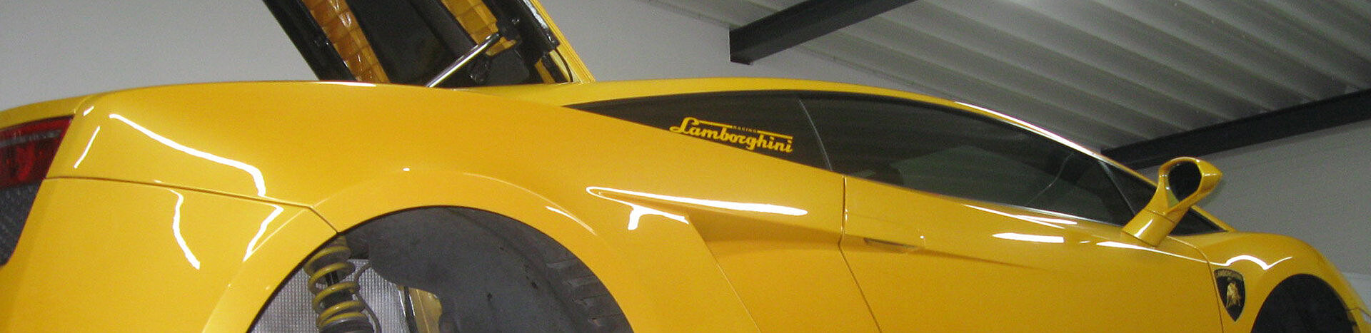 Gallardo-012web